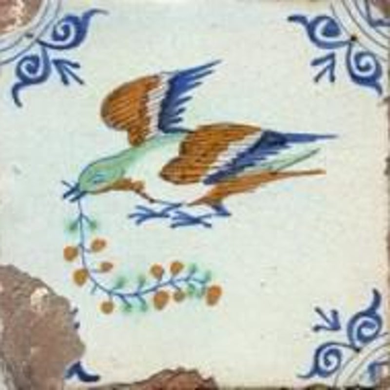 duiventil10-vogels-vredesduifmettakossenk-80.jpg