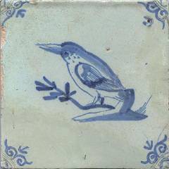 IJSVOGEL_IN_BLAUW1_30.jpg