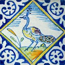 Oranje_en_blauw_en_groen_pauw_0A127_45.jpg