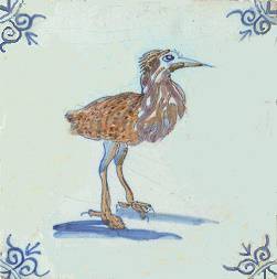 Oranje_en_blauw_roerdomp_0A79_50.jpg