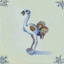 Oranje_en_blauw_struisvogel_0A78_42.jpg