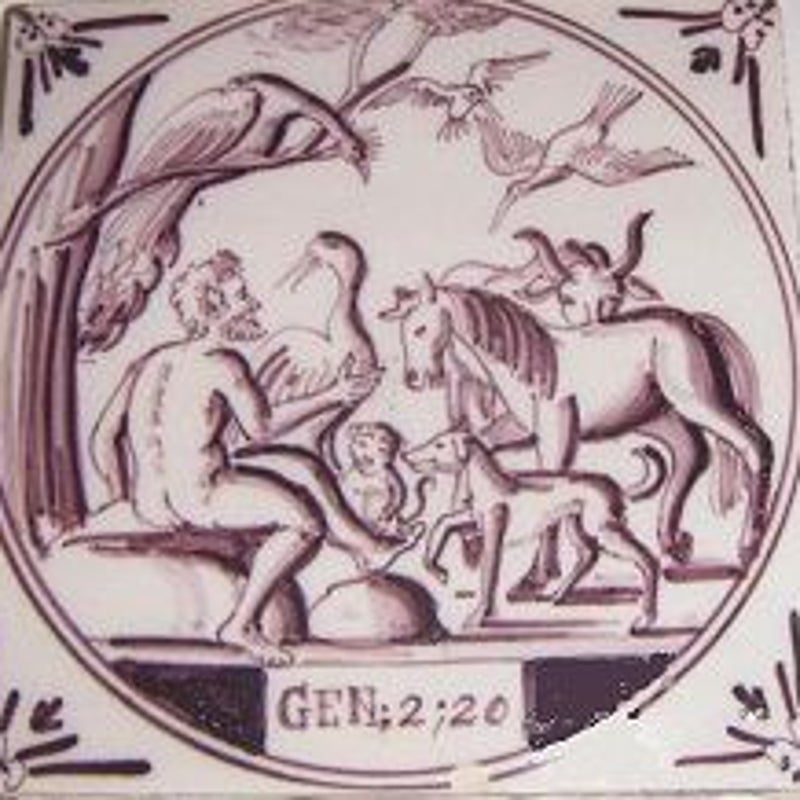 tegel_bijbels_ADAM24_MET_DIEREN_50_crop.jpg