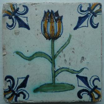 ds-1B_vogelsbloemen_038_15_crop-1.jpg