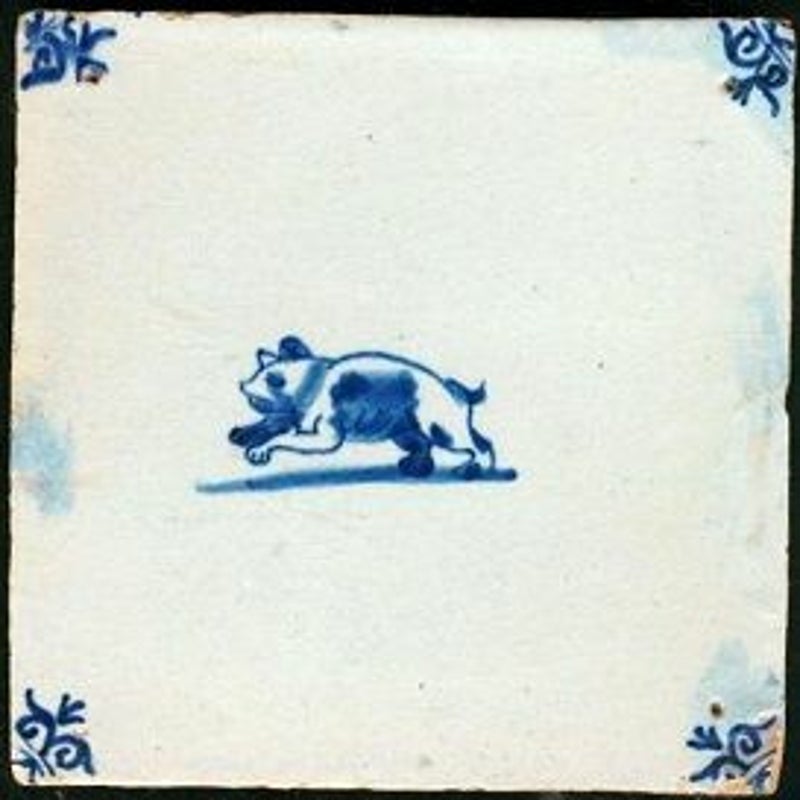 tegel_zoogdier_beer_B71_55-1.jpg