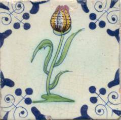 fotoboektegelsgouds98-bloemtulp-hogegouwe.jpg