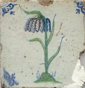 fotoboektegelskievitsbloemen29-ossenkop1650kleur.jpg