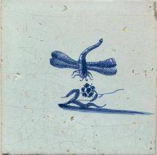 libelopkorenbloem7-insecten-libelvliegend.jpg
