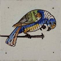 oranje_en_blauw_en_groen_0A111_40.jpg