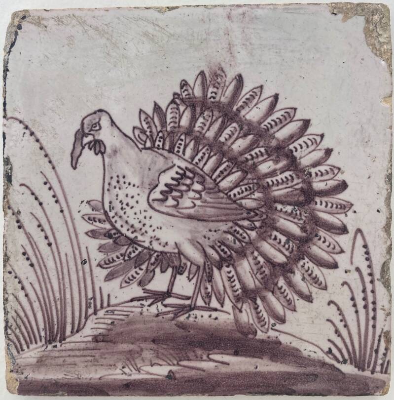 tegel-vogel-kalkoen-18e-eeuw-14okt2023-standard-816c91.jpg