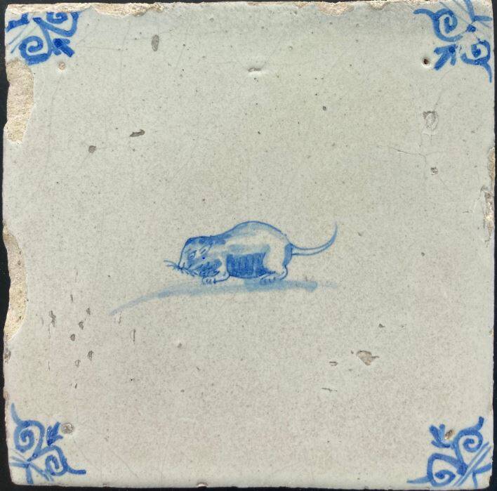 tegel-zoogdier-rat-17e-eeuw-31aug2024-standard-bvpmap.jpg