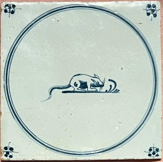 tegel-zoogdier-rat-of-muis-1850-16nov2023-standard-ch1zjz.jpg