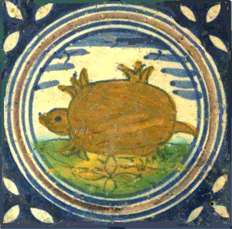 tegelschildpad2SCHIL.jpg