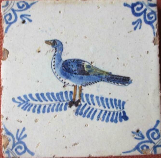 tegelvogelgans17eeeuw21sept2019crop.jpg