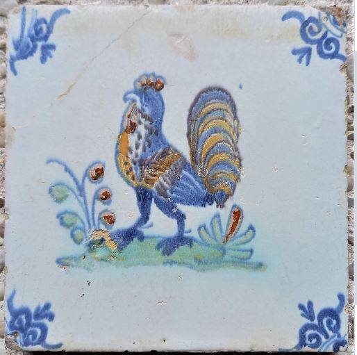 tegelvogelhaan17eeeuw3sept2023jpg-1.jpg