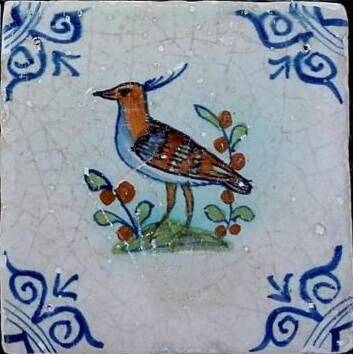 tegelvogelkievit17eeeuw12mrt2017crop2-1.jpg