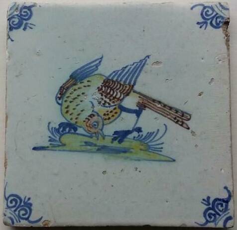 tegelvogelonbekend17eeeuw14okt2019crop.jpg