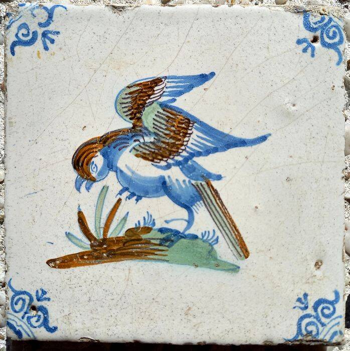 tegelvogelonbepaald17eeeuw15okt2021-1.jpg