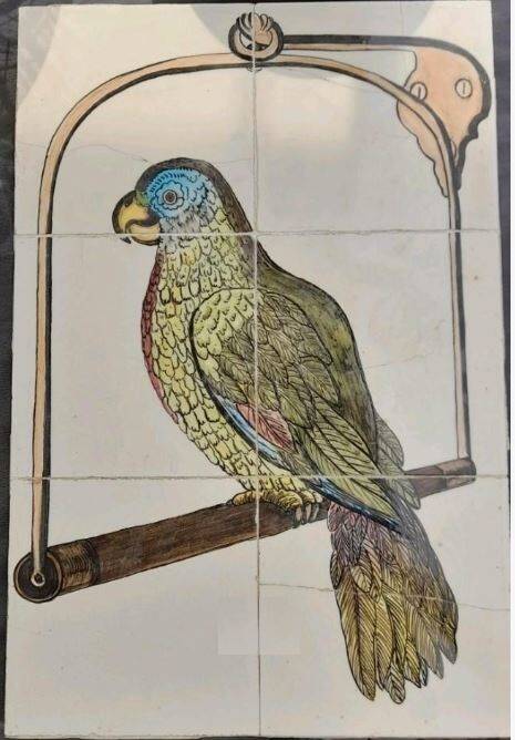 tegelvogelpapegaai190011sept2022jpg-1.jpg
