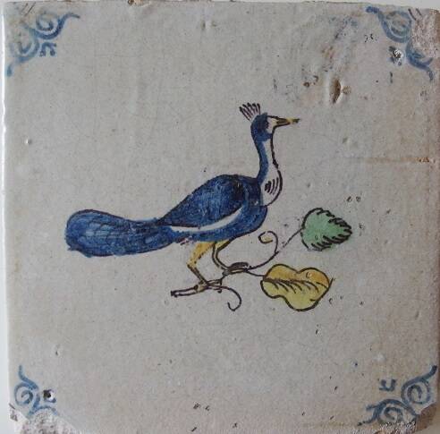 tegelvogelpauw17eeeuw12mei201935crop.jpg