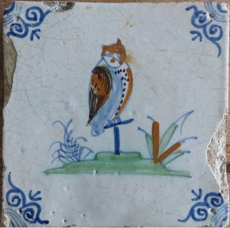 tegelvogeluil17eeeuw15mrt2021IMG_157720crop-1.jpg