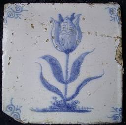 tulp-blauw-5mrt07_40-1.jpg