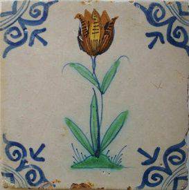 tulp-kleur-groteossenkop-marktplaats_65-1.jpg
