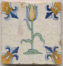 tulp_17e_5febr2012_55-1.jpg