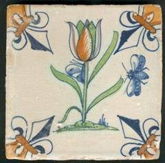 tulp_9febr2012_a103.jpg