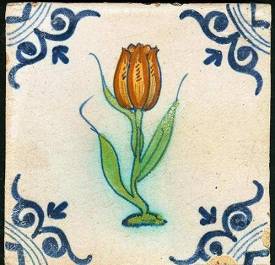 tulp_9febr2012_a145_55.jpg