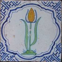tulp_9febr2012_a18_50_crop.jpg
