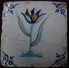 tulp_9febr2012_a2_50.jpg
