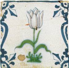 tulp_9febr2012_a96_25_crop.jpg