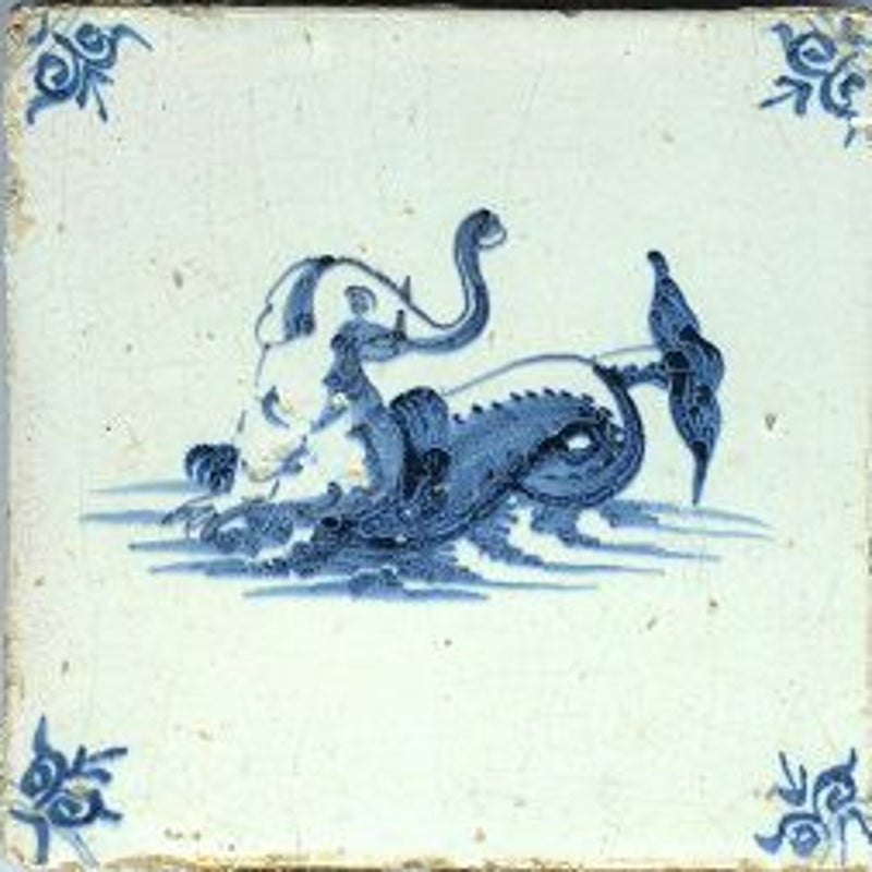 tegel_zoogdieren_olifant_zeeolifant_25_crop.jpg