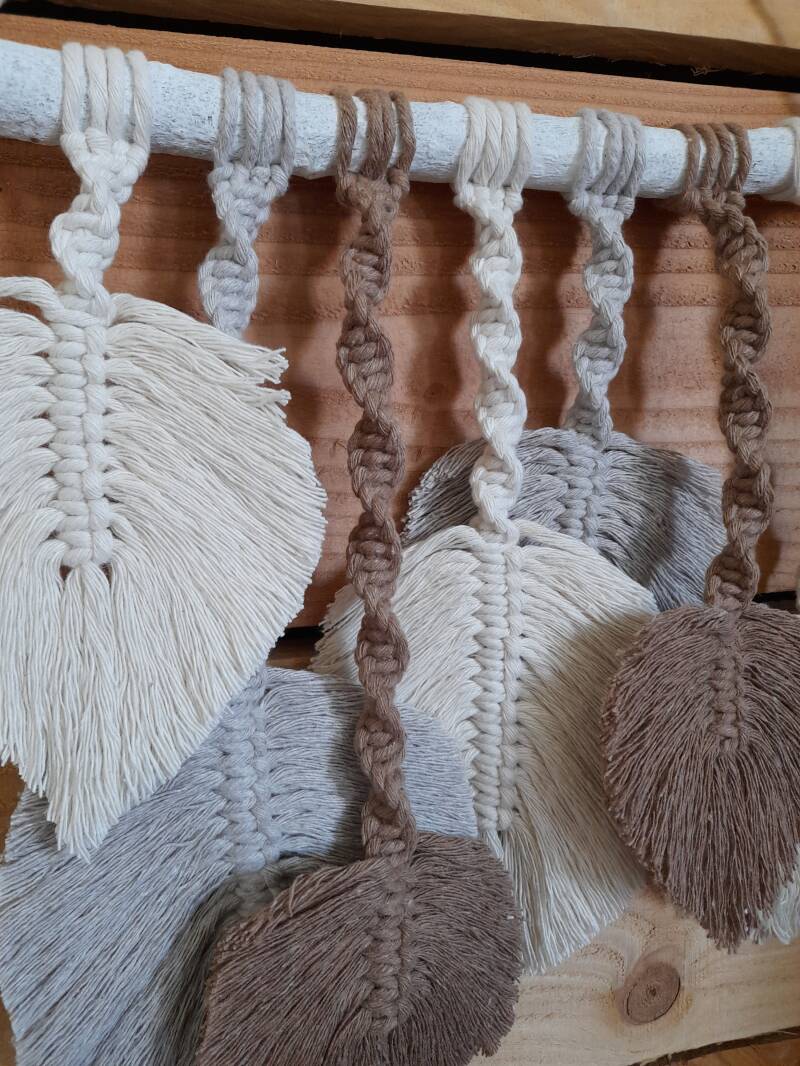 Model Jess € 30,- kleur: Biscuit, Almond en Teak