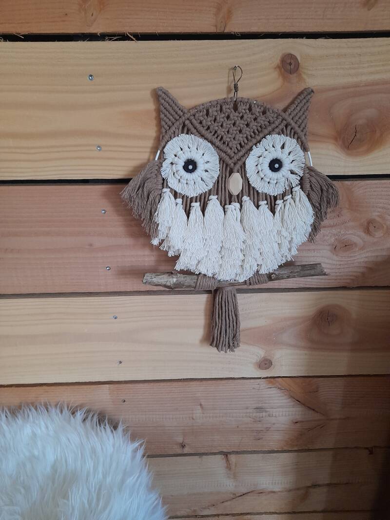 Model Owl € 35,-
