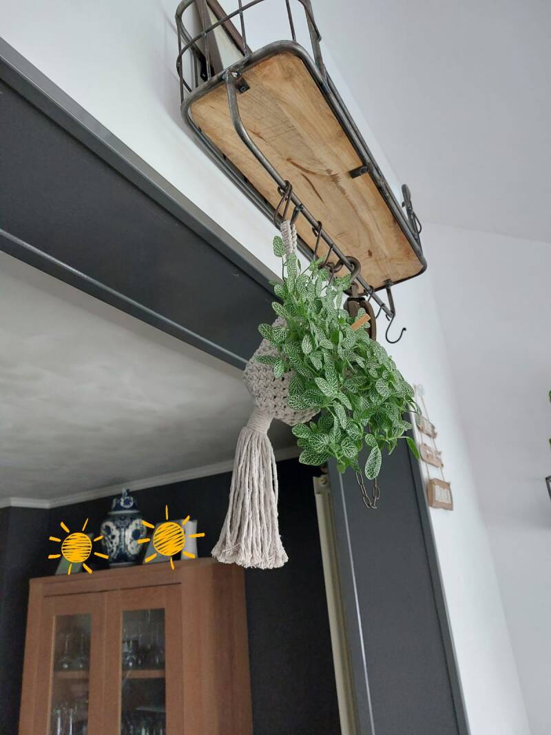 Model May in Biscuit