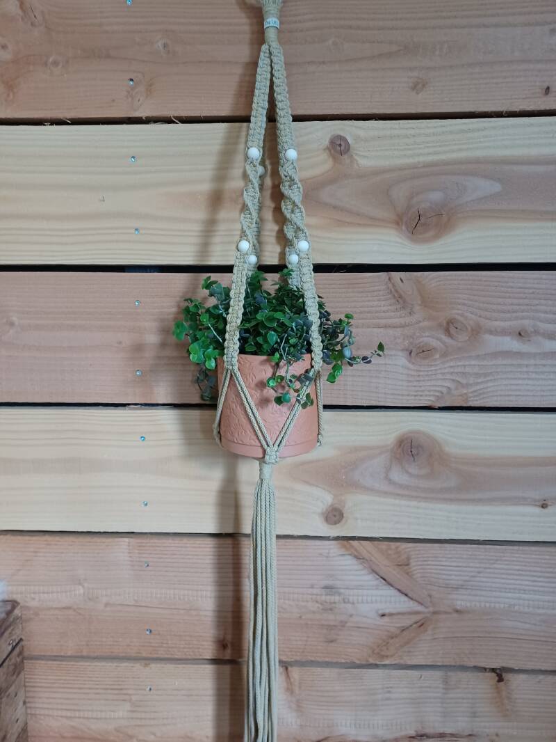 Model Omer € 15,-, kleur grey-yellow, met pot en plant € 20,-