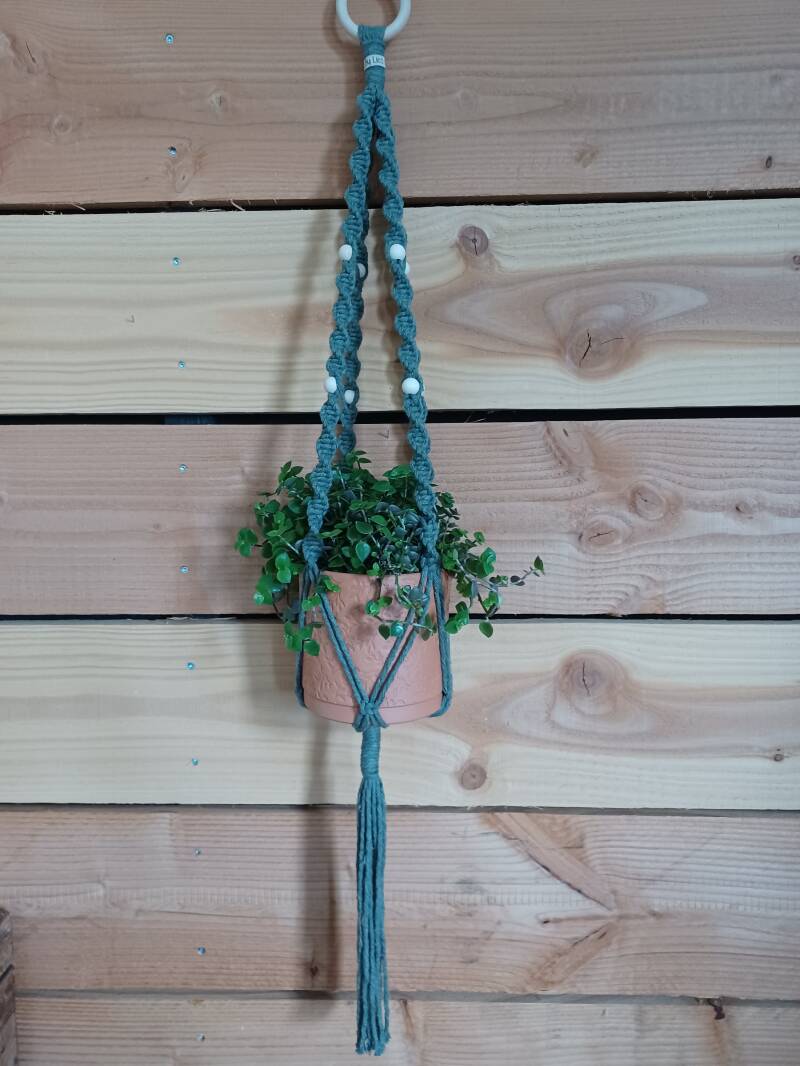 Model Chen € 15,-, kleur forest, met pot en plant € 20,-