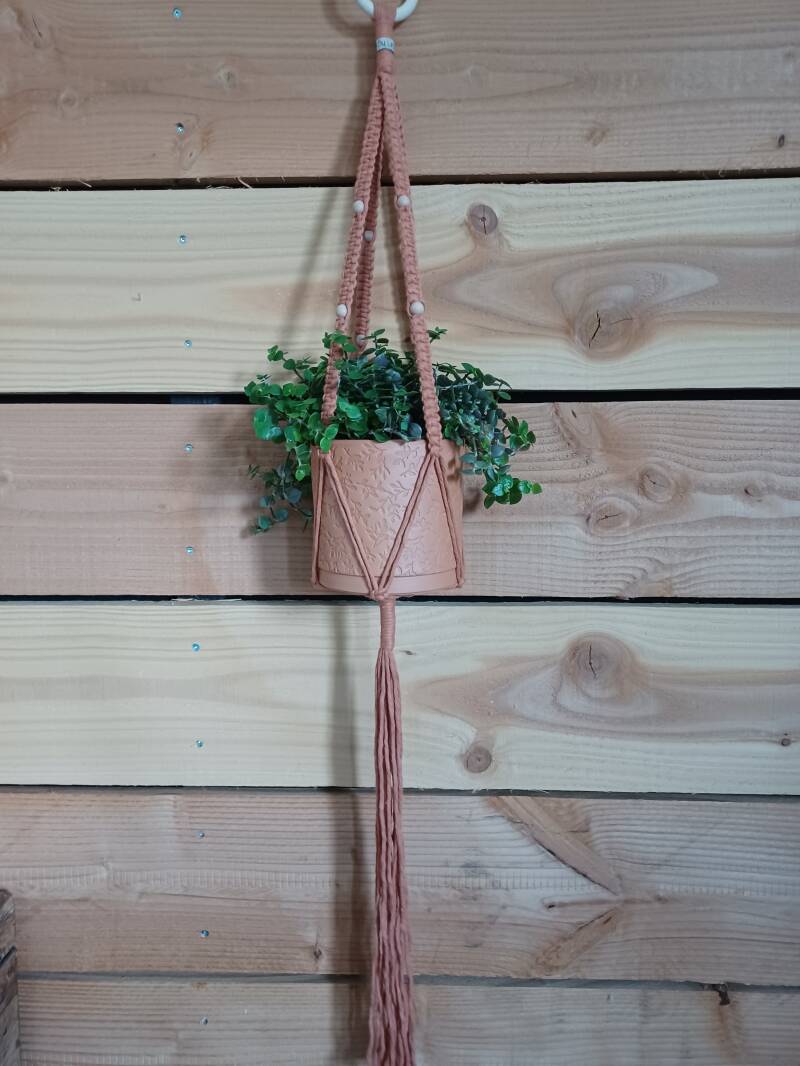 Model Gian € 15,-, kleur roest, met pot en plant € 20,-