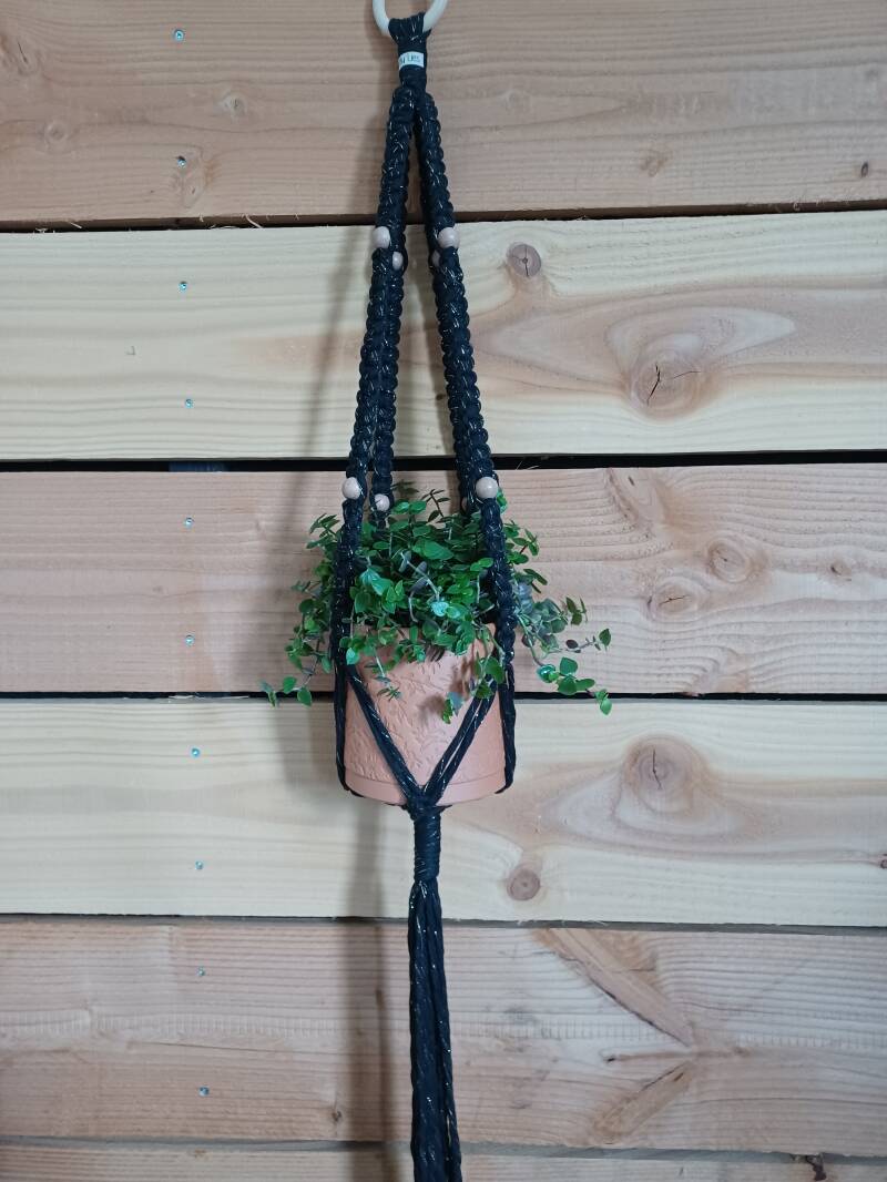 Model Gian € 15,-, kleur blackgold, met pot en plant € 20,-