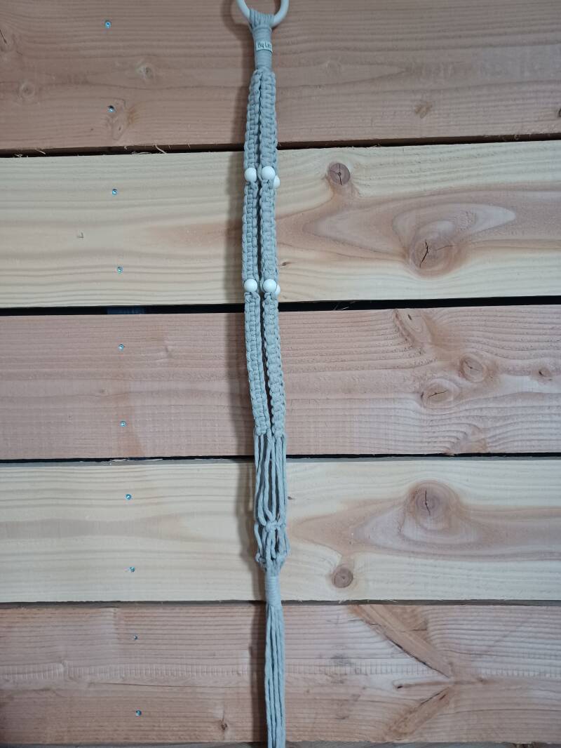 Model Gian 5 mm € 15,- / +/- 120  lang, pot 12 tot 25 past erin