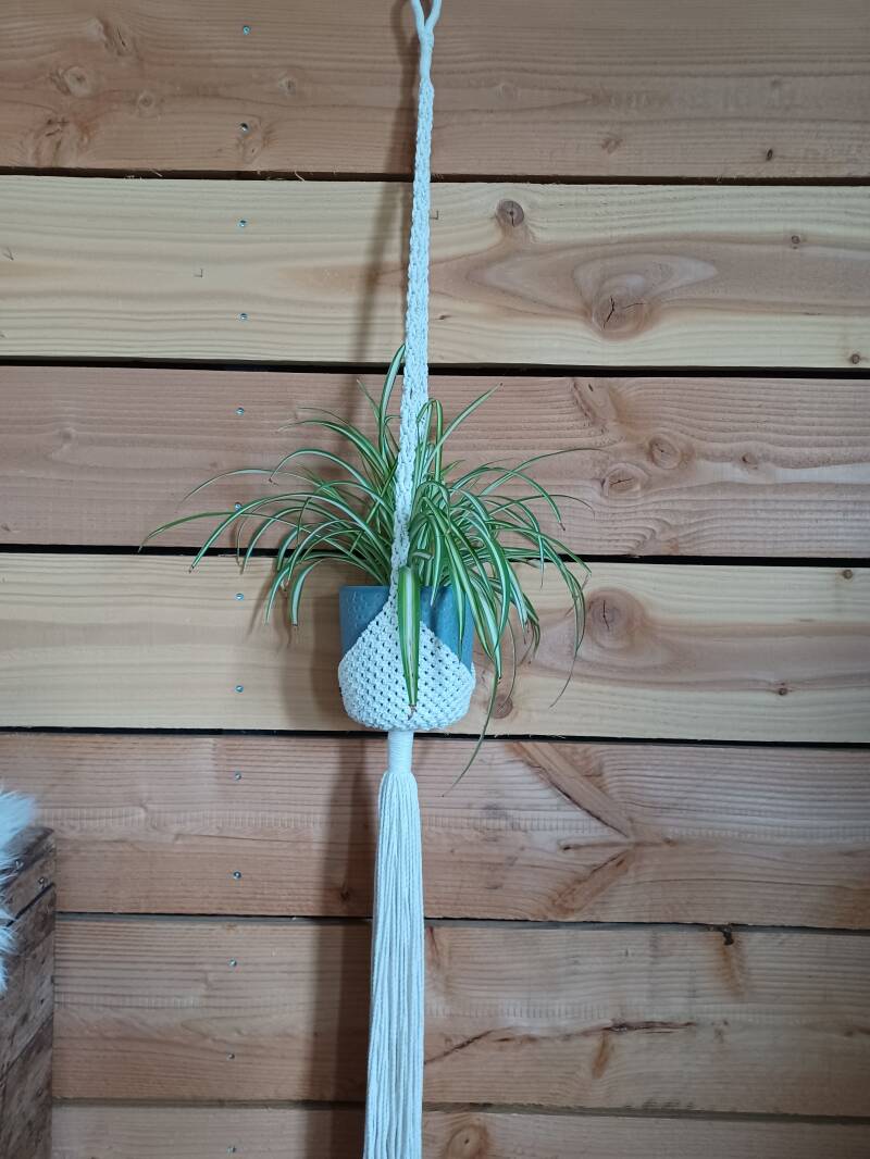 Model Pepe € 25,- 2 mm, in alle kleuren mogelijk!