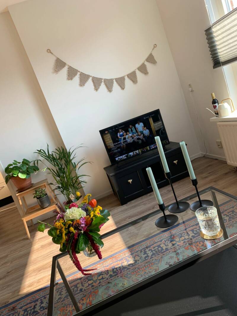 Model Flag in Biscuit