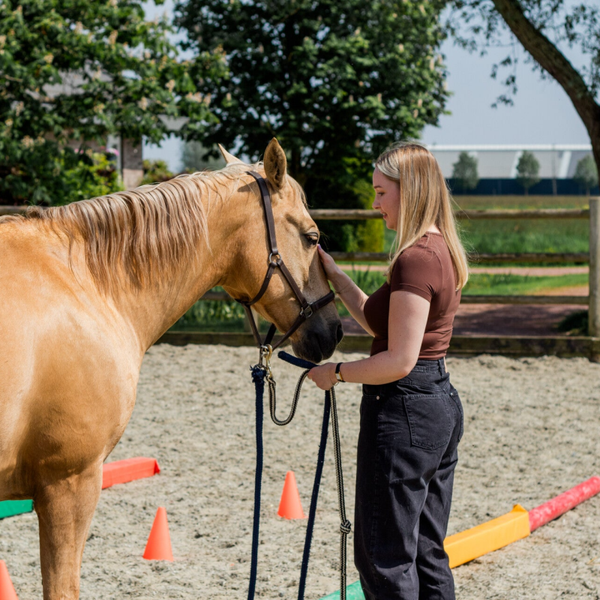 Individuele coaching - pakket van 3 sessies