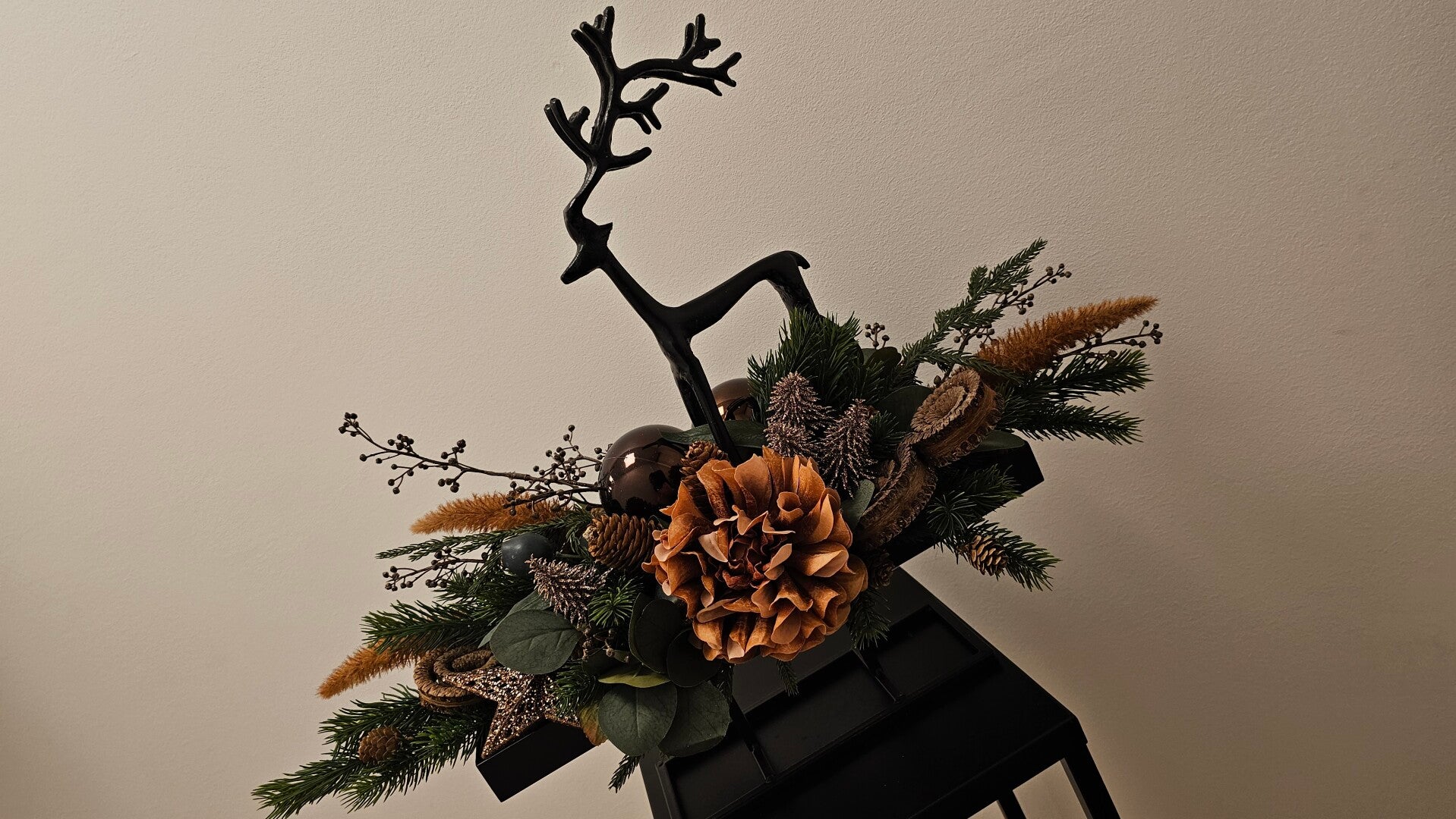 Cervo Noir Impérial