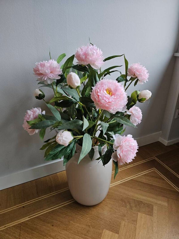 Pioenroos zacht rose dubbelbloemig