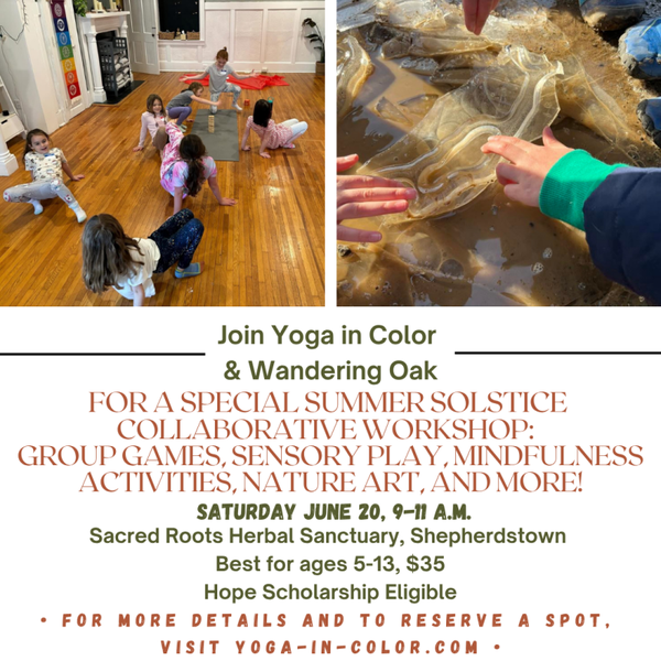 Collaborative Summer Solstice Workshop with Wandering Oak