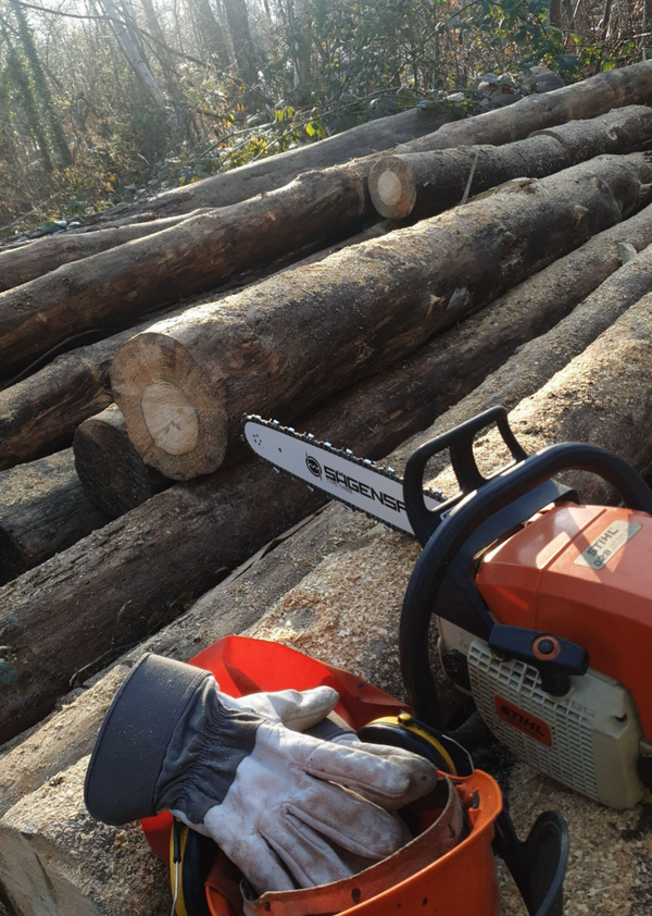 Allgemeine Holzverarbeitung