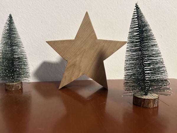 Weihnachtsstern
