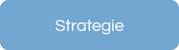 Strategieworkshop voor bedrijven in Friesland – Blue Project & Event Support